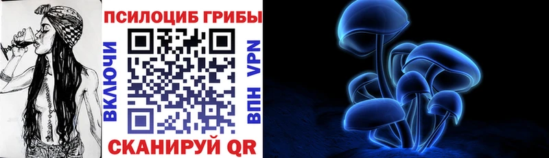 Галлюциногенные грибы MAGIC MUSHROOMS  продажа наркотиков  Фокино 