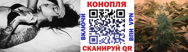 сколько стоит  Фокино  МАРИХУАНА Amnesia 